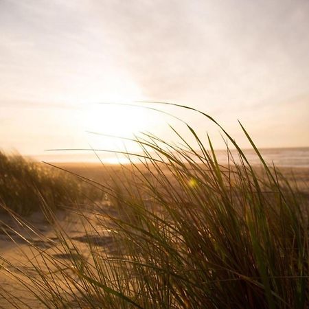 Kleine Nordseewelle Ohne Hund Norden Exteriér fotografie