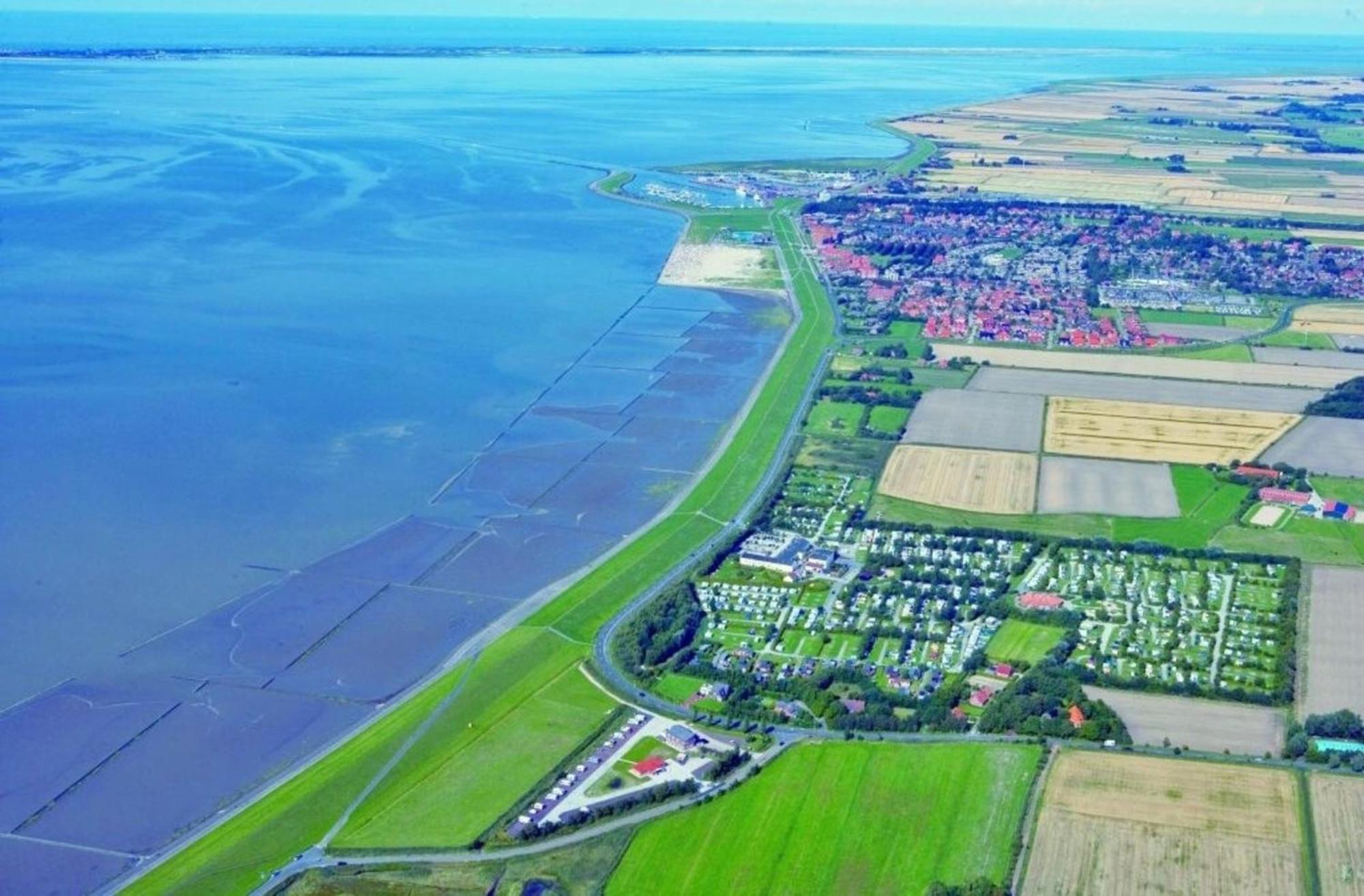 Kleine Nordseewelle Ohne Hund Norden Exteriér fotografie