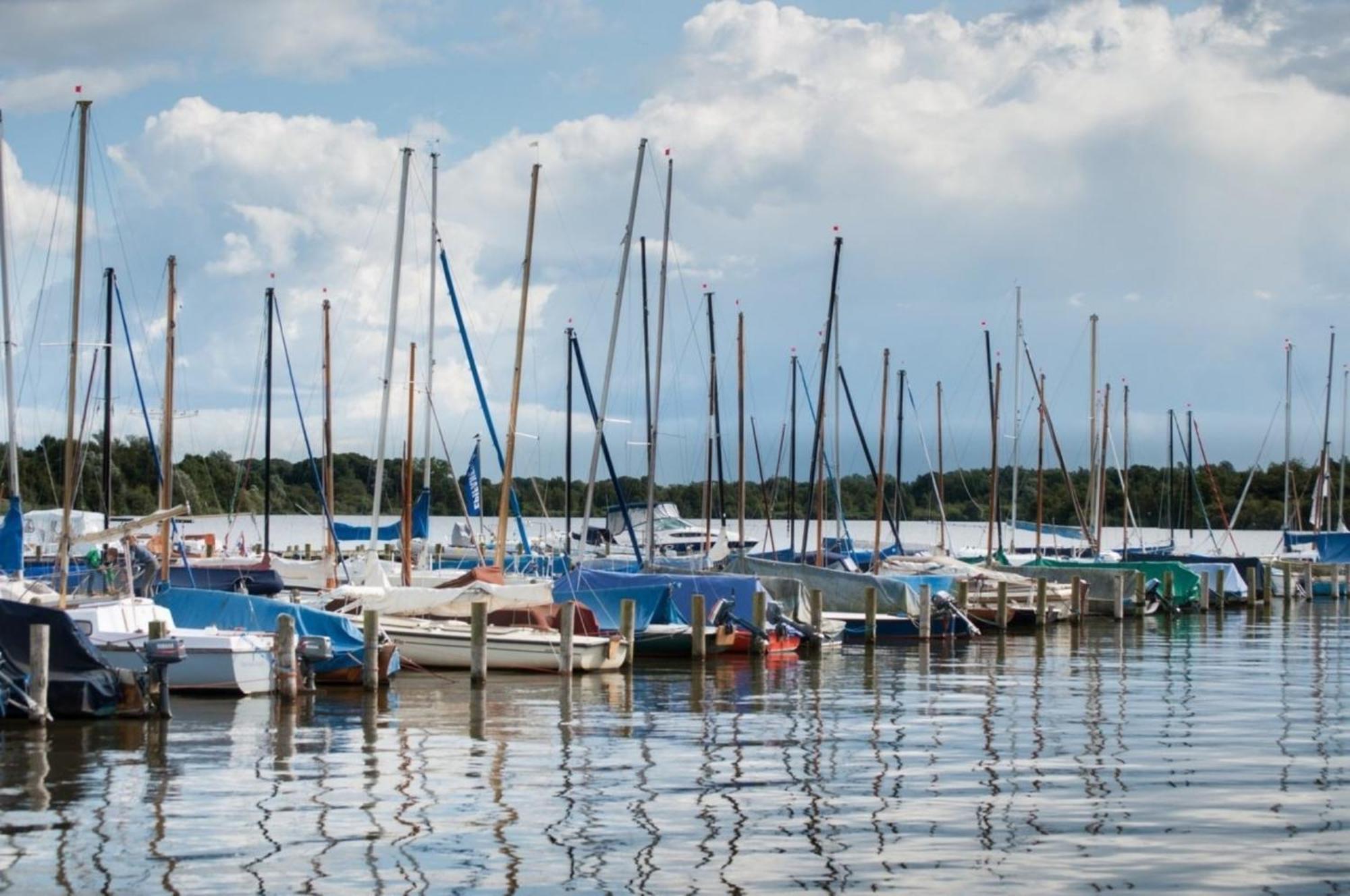 Kleine Nordseewelle Ohne Hund Norden Exteriér fotografie
